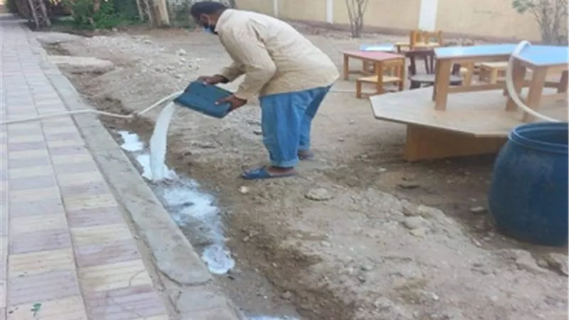 مكافحة حشرة الأرضة بمجمع معاهد الحاج صالح الأزهري بالرضوانية