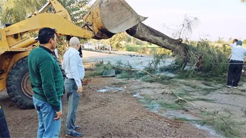محافظ الشرقية يقرر: سرعة شفط الأمطار ورفع الأشجار المتساقطة.. بالصور