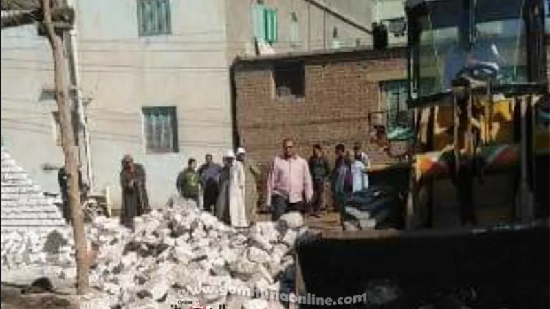 التصدى للبناء على الارض الزراعية وازالة المخالفات فى المهد ب٨ مراكز بالشرقية