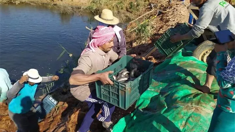 رئيس الداخلة يعلن نجاح ثانى مشروعات الهنداو للإستزراع السمكى بالوادى الجديد
