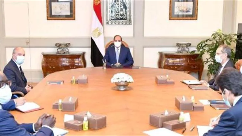 السيسى يستقبل رئيس شركة 