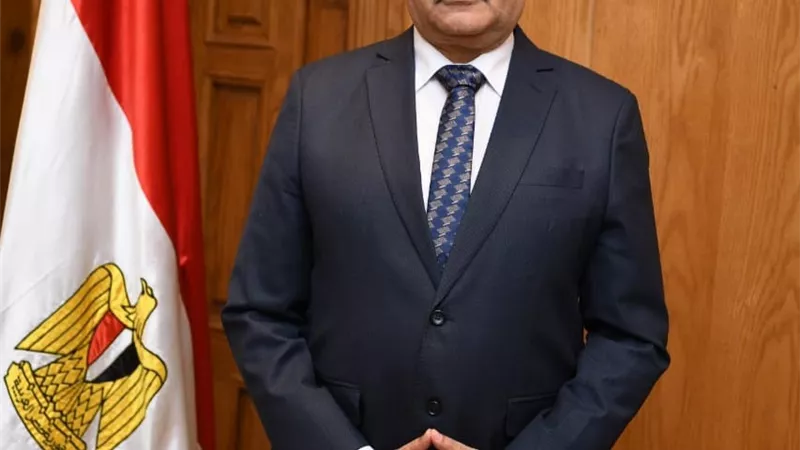 وزير الإنتاج الحربى يعين المهندس محمد صلاح نائباً لرئيس الهيئة القومية للإنتاج الحربى