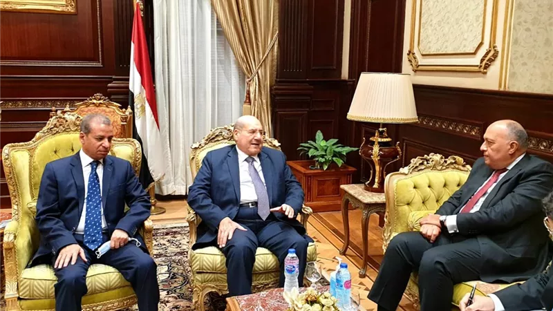 رئيس مجلس الشيوخ يشيد بجهود الدبلوماسية المصرية في الحفاظ على مصالح الشعب