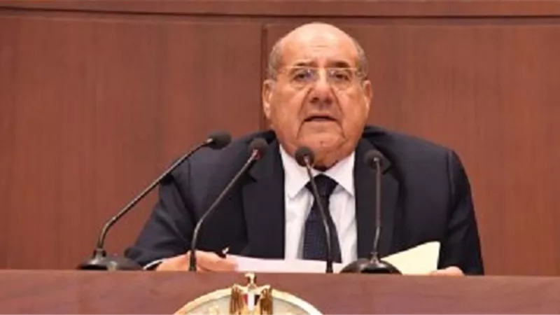 رئيس مجلس الشيوخ يبحث مع هشام حطب التعاون بين الجانبين