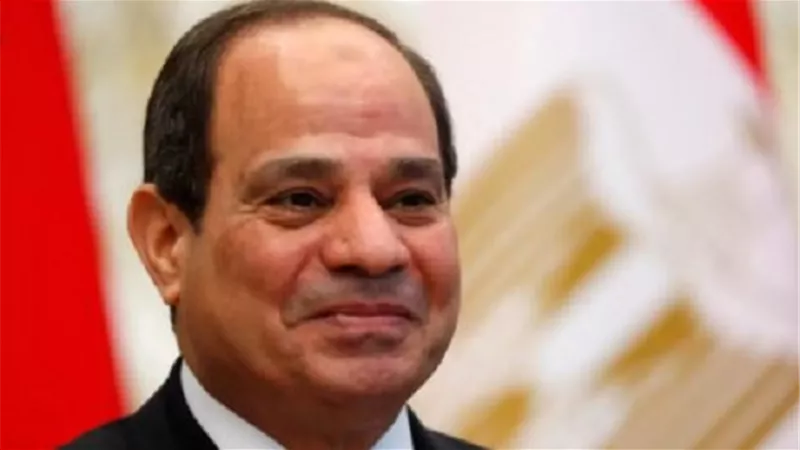 الرئيس يوافق على ميثاق تأسيس مجلس الدول العربية الإفريقية المطلة على البحر الأحمر وخليج عدن