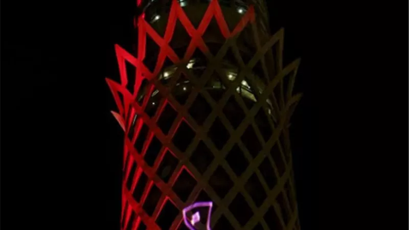 وزير الرياضة يشهد إضاءة برج القاهرة بعبارة 