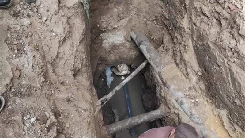 اصلاح هبوط بفرعة صرف صحي في شبين القناطر