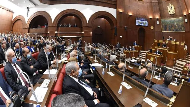 عضو بالشيوخ تتغيب عن إلقاء اليمين الدستورية بالجلسة العامة