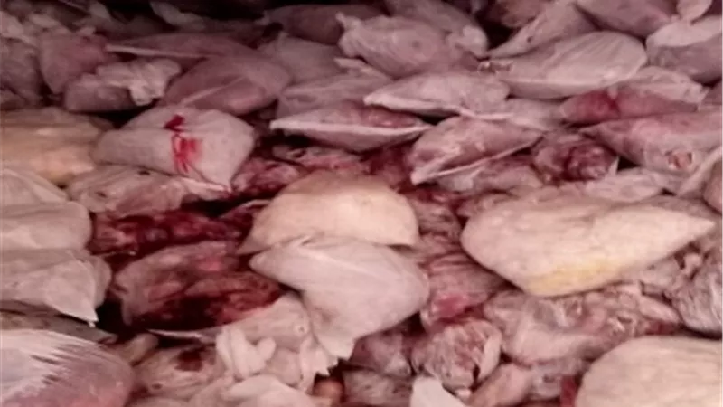 محافظ الجيزة: ضبط 22 طن لحوم ودواجن غير صالحة للاستهلاك الأدمي