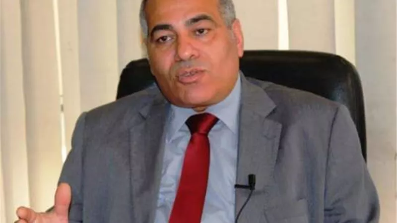 خبير اقتصادي: المصانع الجاهزة وسيلة الحكومة لزيادة الصادرات