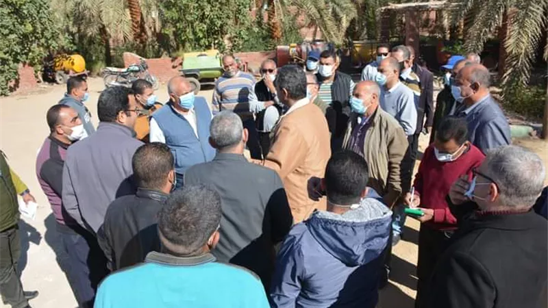 بدء انشاء مراكز لتجميع الالبان لخدمة صغار المربين بالوادى الجديد