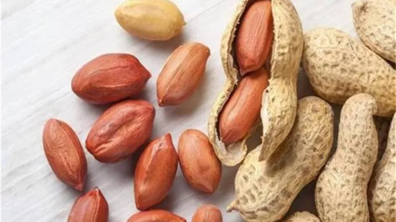 5 فوائد صحية للجسم عند تناول الفول السوداني