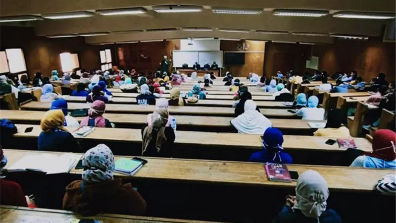أعضاء الفتوى بالأزهر: إذا انهارت أخلاق الأُمّة انهار وجودها