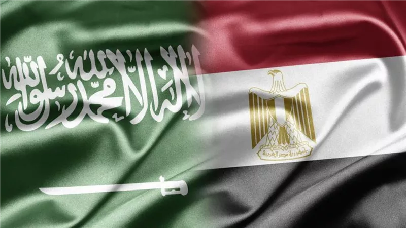 مصر والسعودية ترفضان التدخلات في الشئون العربية ومحاولة زعزعة استقرارها
