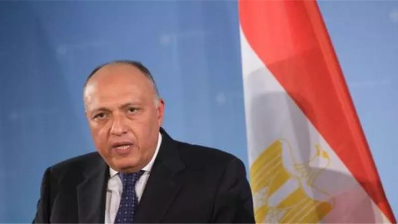 وزير الخارجية يبحث مع نظيره الفنلندي تطوير العلاقات الثنائية
