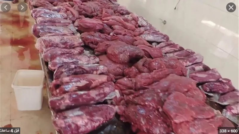 ضبط أكثر من 120 طن لحوم ودواجن واسماك غير صالحة للاستهلاك الادمى