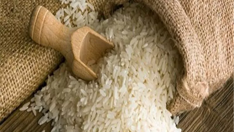مضارب الأرز: 25 ٪ زيادة في انتاجية العام الحالي .. ولدينا احتياطي يكفي 6 اشهر