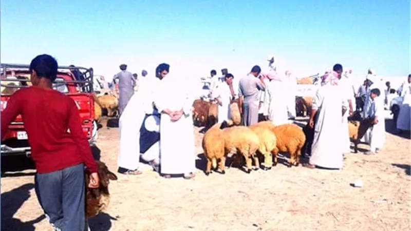 غلق سوق الجمعة للأغنام بمدينة الحمام اليوم مع إجراء اعمال الطهير والرش