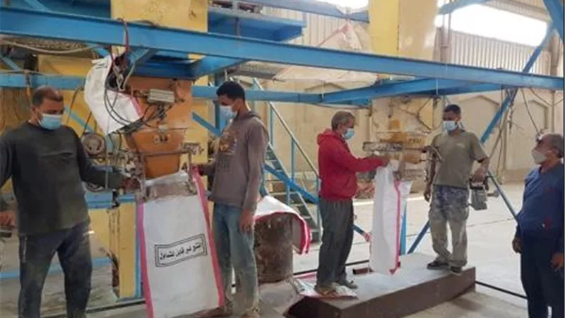 الزراعة: اصدار 363 رخصة تشغيل مزرعة دواجن ومواشي