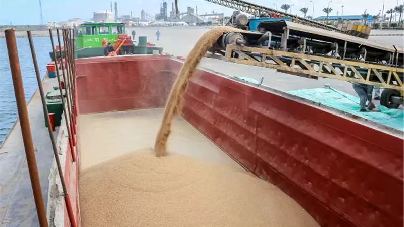 ننشر حركة تداول البضائع العامة بميناء دمياط