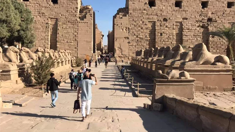 إنطلاق فعاليات الدورة 13 لملتقى الأقصر للتصوير