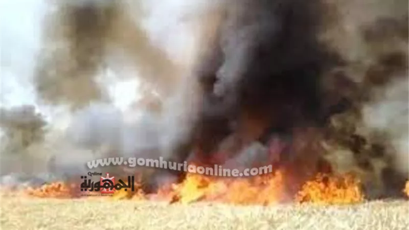 إصابة 4 أشخاص بحروق فى صوبة حرارية بالبحيرة