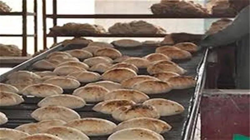 شعبة المخابز: استخدام الغاز في الأفران يحسن طعم رغيف العيش