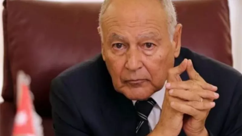 ابو الغيط : العالم يشهد صعود قطب صيني في مواجهة الولايات المتحدة وتوازن القوى الكبرى سيكون لصالح الدول الصغرى