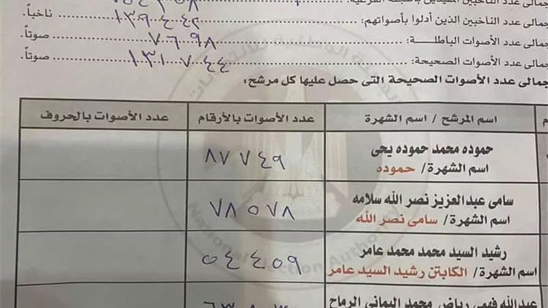 بالمستندات.. نصرالله وحمودة والرماح نواب الدائرة الثانية بالشرقية حسب الكشوف الاولية