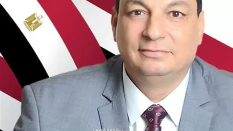المؤشرات الأولية بجولة الإعادة في دائرتى منيا القمح وبلبيس بالشرقية