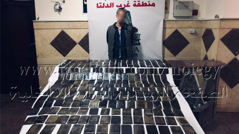 ضبط 250 طربة حشيش فى كفر الشيخ بـ 1٫750٫000 جنيه