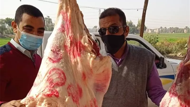 ضبط لحوم بقرة مريضة مذبوحة خارج السلخانة قبل بيعها في مركز سوهاج