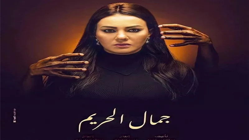دينا فؤاد: مسلسل 