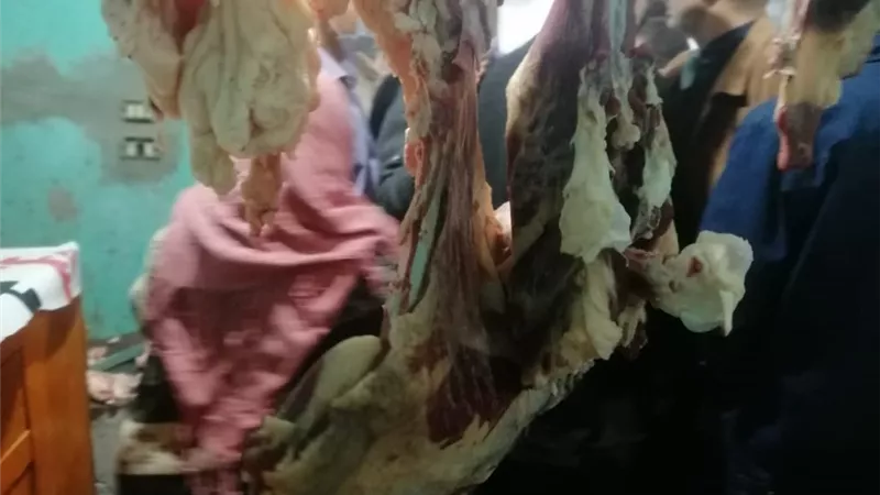 ضبط لعب أطفال مجهولة المصدر ولحوم خارج السلخانة فى حملة مكبرة بالمنوفية.. صور