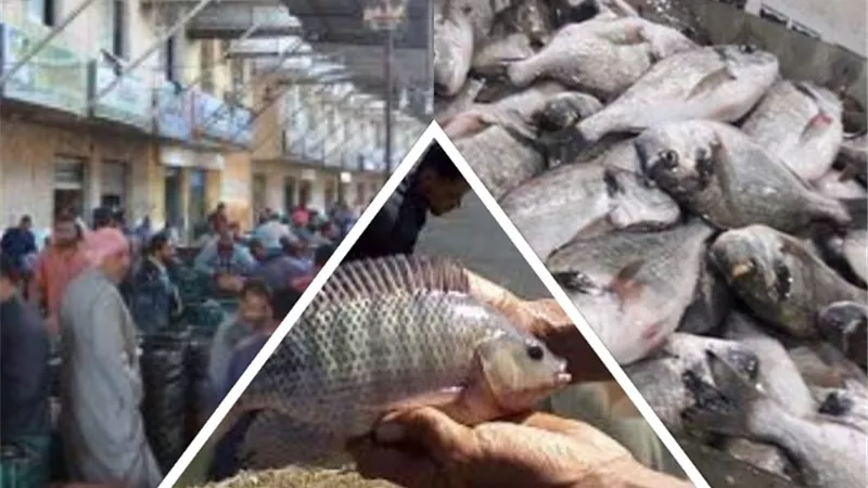 تخدم 5 محافظات ولا يوجد لها مثيل إلا في 