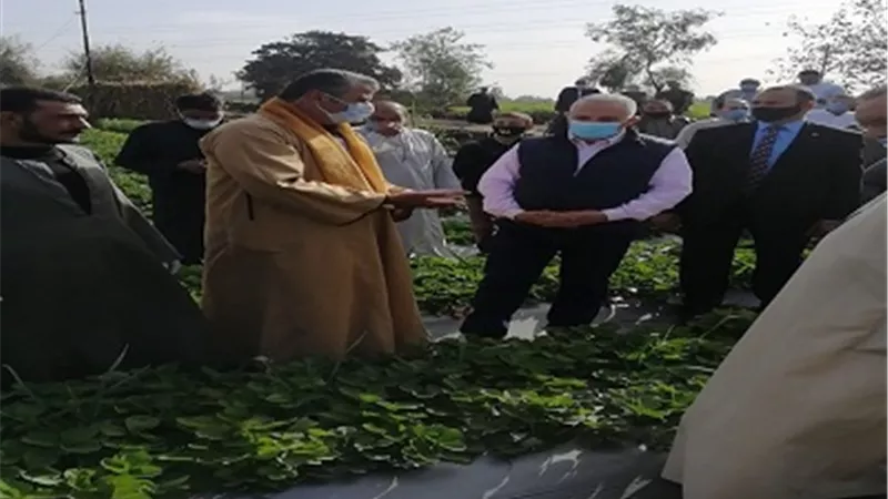 وزير الري يزور مزارع نجح في إدخال نظم الري الحديث