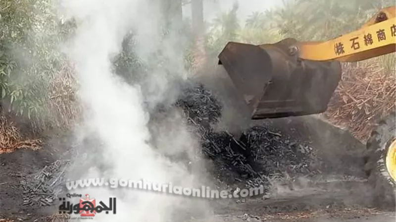 استمرار الحملات لإزالة مكامير الفحم المخالفة بكفر البطيخ