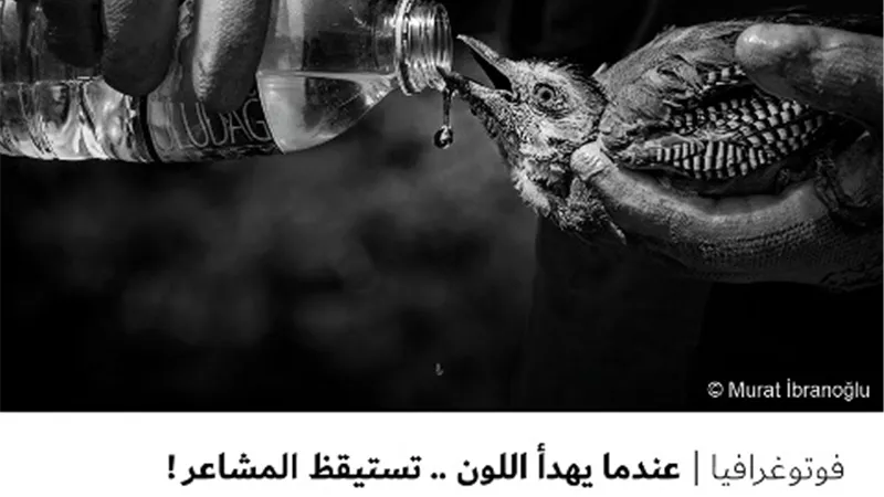 عندما يهدأ اللون .. تستيقظ المشاعر !