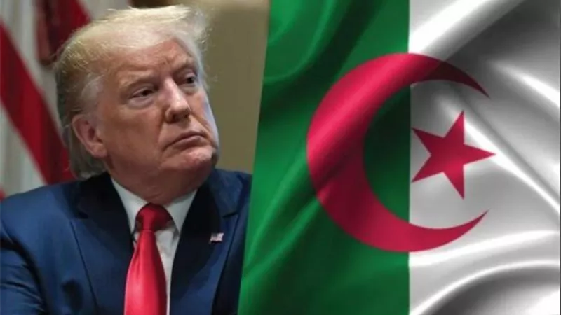 اول رد من الجزائر على إعلان ترامب بخصوص الصحراء الغربية