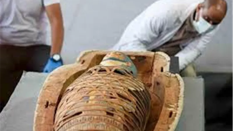 حواس : الاعلان عن كشف أثري جديد بجبانة سقارة أوائل العام المقبل