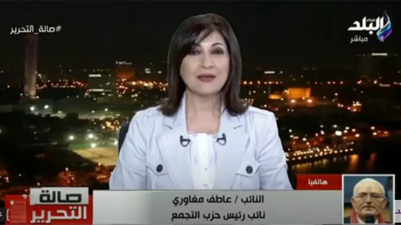 عاطف مغاوري: قانون المحليات على رأس أوليات مجلس النواب المقبل.. فيديو