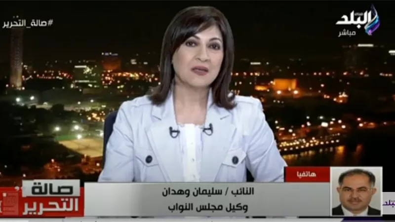 سليمان وهدان: البرلمان يمثل الشباب.. والوفد حزب معارض.. فيديو
