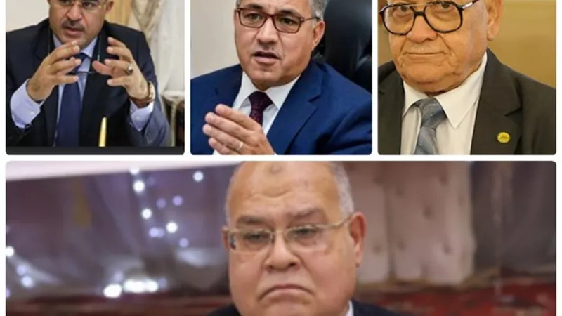 أعضاء مجلس النواب: نجاح مصر فى الانتخابات.. لطمة قوية لأتباع 