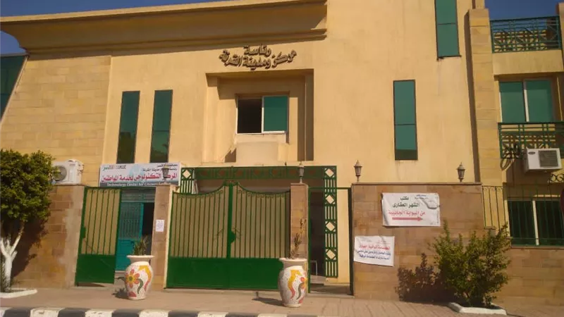 تحرير 47 عقداً لتقنين الأوضاع بالقرنة غرب الأقصر