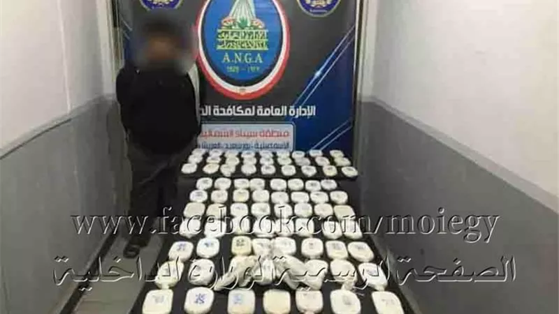 ضبط ٩٠ طربة حشيش بالقنطرة غرب