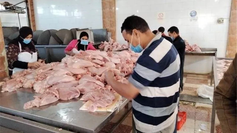 غلق 5 منشآت غذائية غير مرخصة بالشرقية.صور