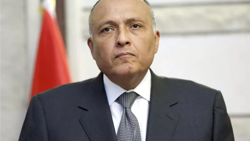 سامح شكرى: السلام فى الشرق الأوسط لن يتحقق إلا بإقامة الدولة الفلسطينية