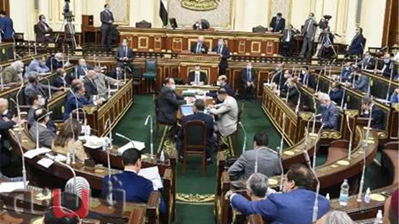 النائب محمد إسماعيل : القضية الفلسطينية تتصدر اهتمامات الرئاسية المصرية