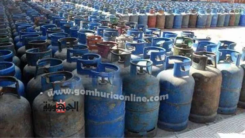 مديرية تموين دمياط تُعلن عن تحرير ٣٢٢ محضرا ضد المخالفين