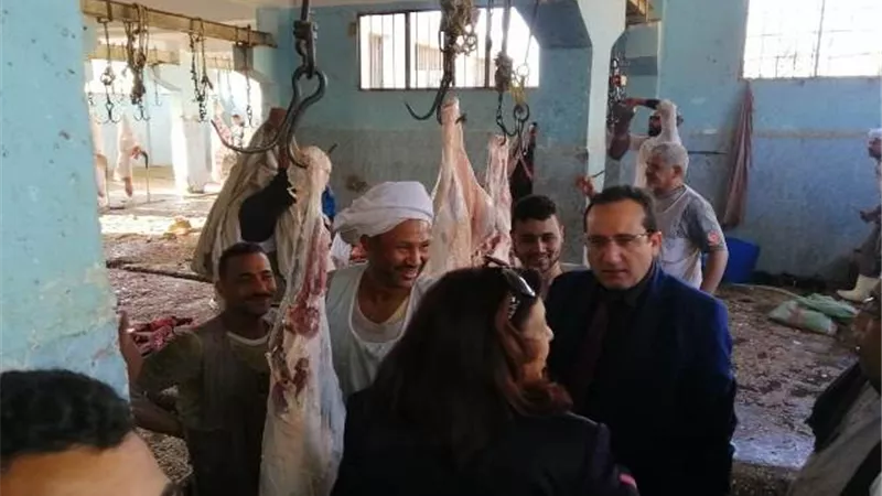 مدير الطب البيطرى بالأقصر يتفقد أعمال عدد من المجازر الآلية